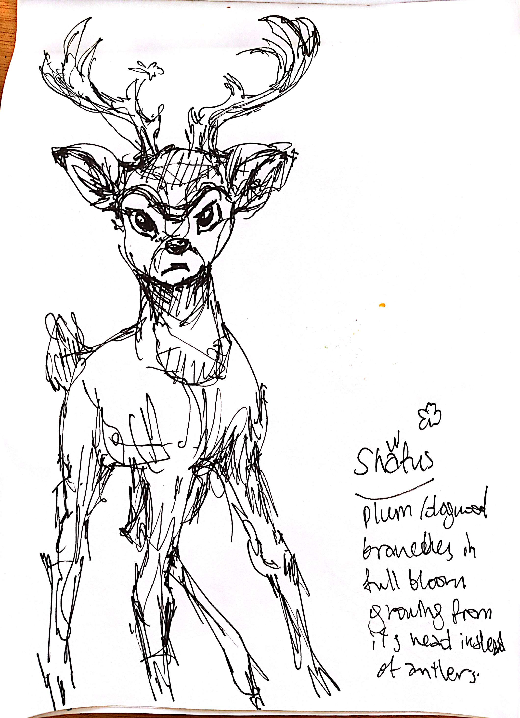 drawings